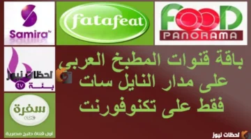 تحديثات الترددات.. ضبط إشارة قنوات الطبخ الجديدة على قمري نايل سات وعرب سات